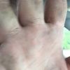 pamyjeantoo